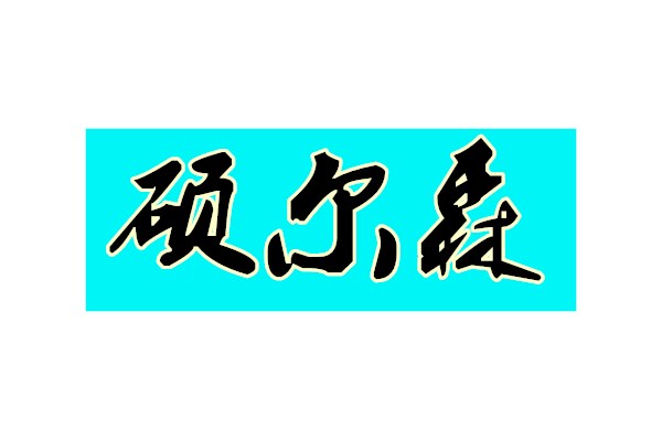 河南硕尔森电子科技有限公司招聘